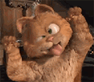 QQͼƬ20131119220541.gif