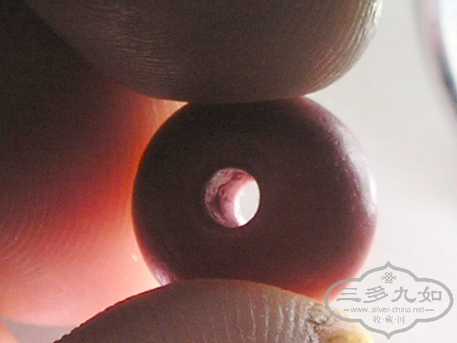 P1010099.jpg