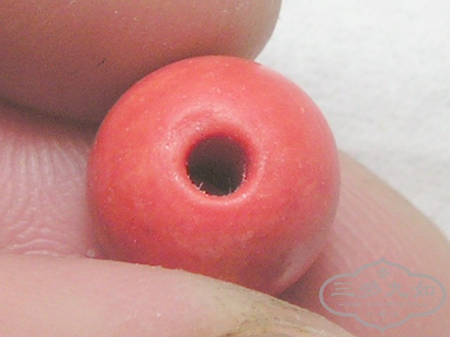P1010100.jpg
