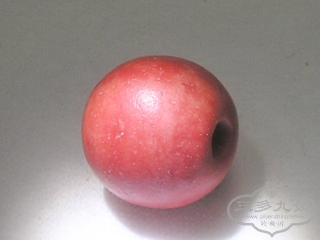 P1010102.jpg
