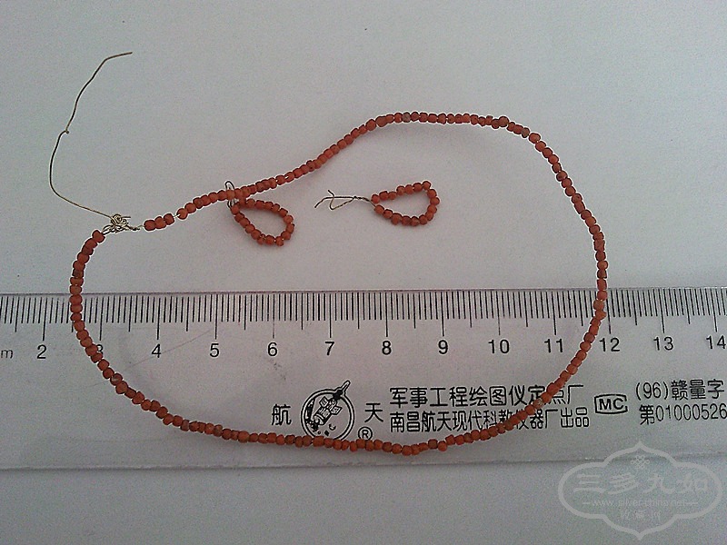 SNC05392_����.jpg