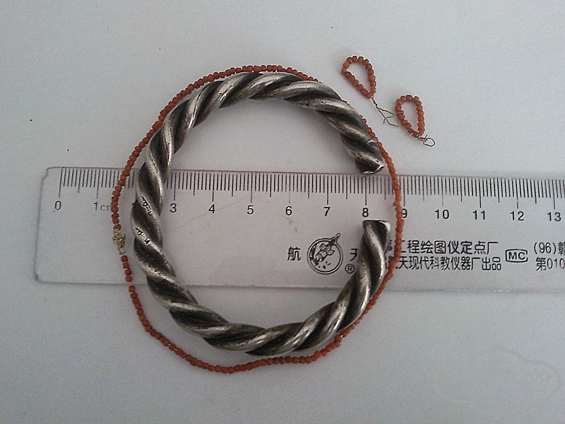 SNC05394_����.jpg