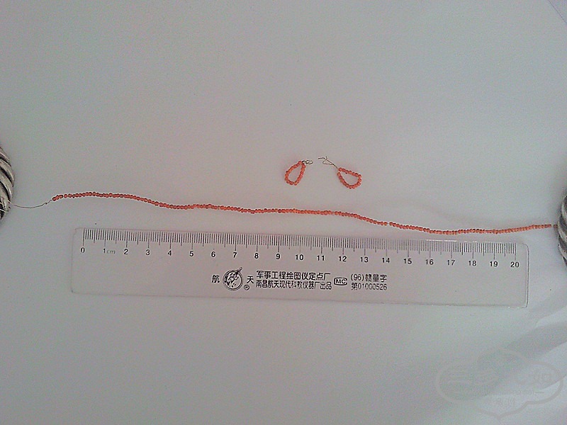 SNC05387_����.jpg