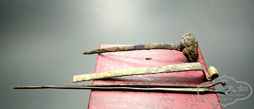 DSCN3117.jpg