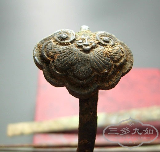 DSCN3118.jpg
