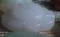 360ͼ20131219141707765.jpg