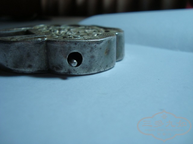 DSC04845.JPG