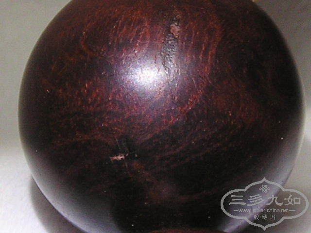 P1010020.jpg