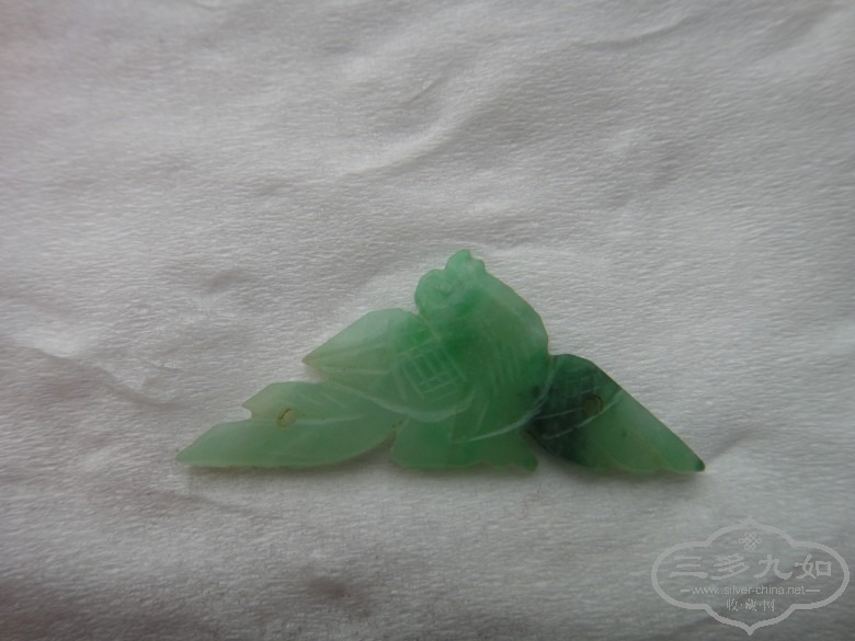 DSC02880_conew1.JPG
