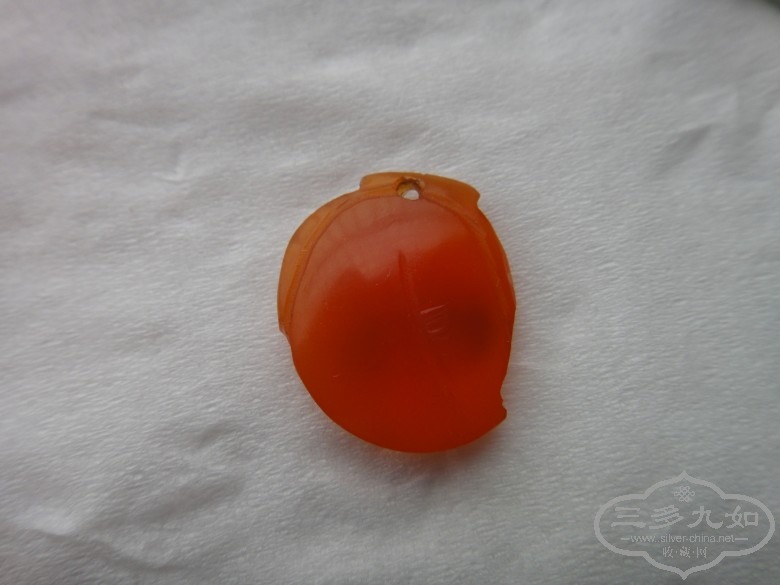 DSC02876_conew1.JPG