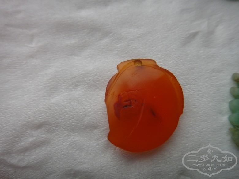 DSC02877_conew1.JPG