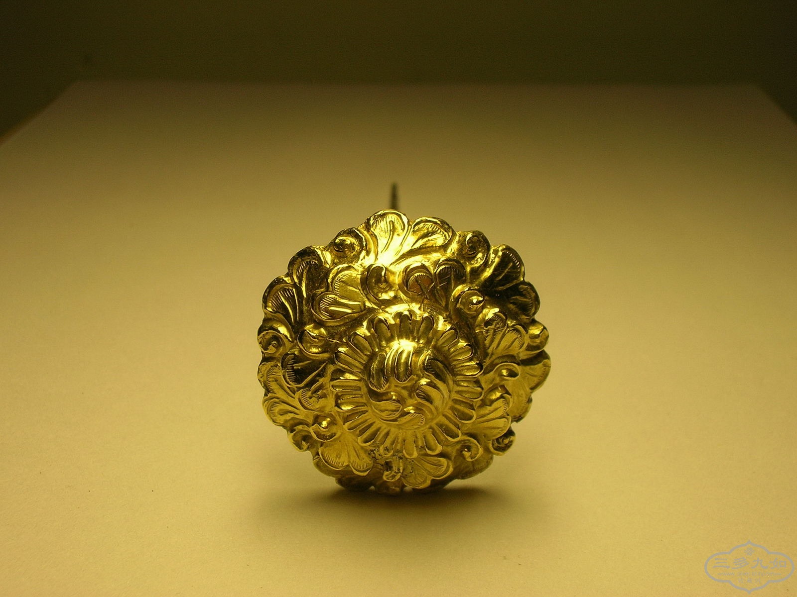 DSCN8311.JPG