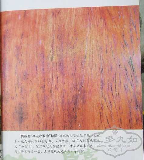 P1010004.jpg