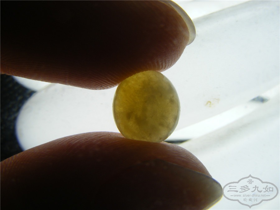 DSCF9036.jpg
