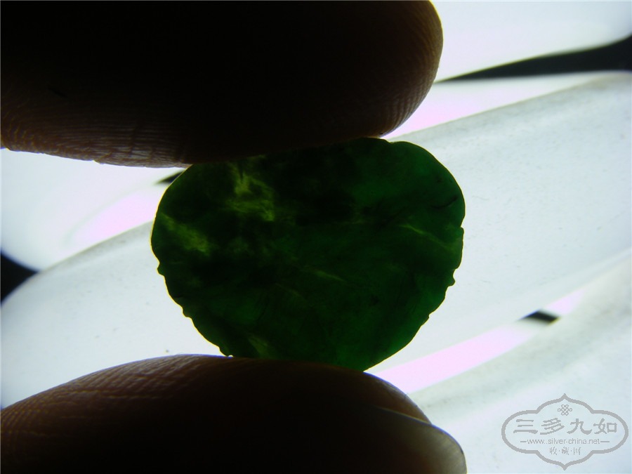 DSCF3956.jpg