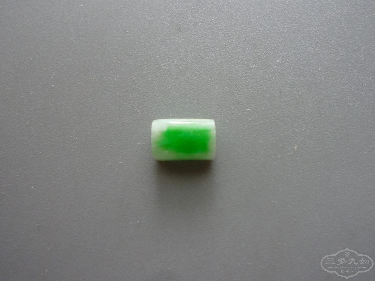P1520100.JPG