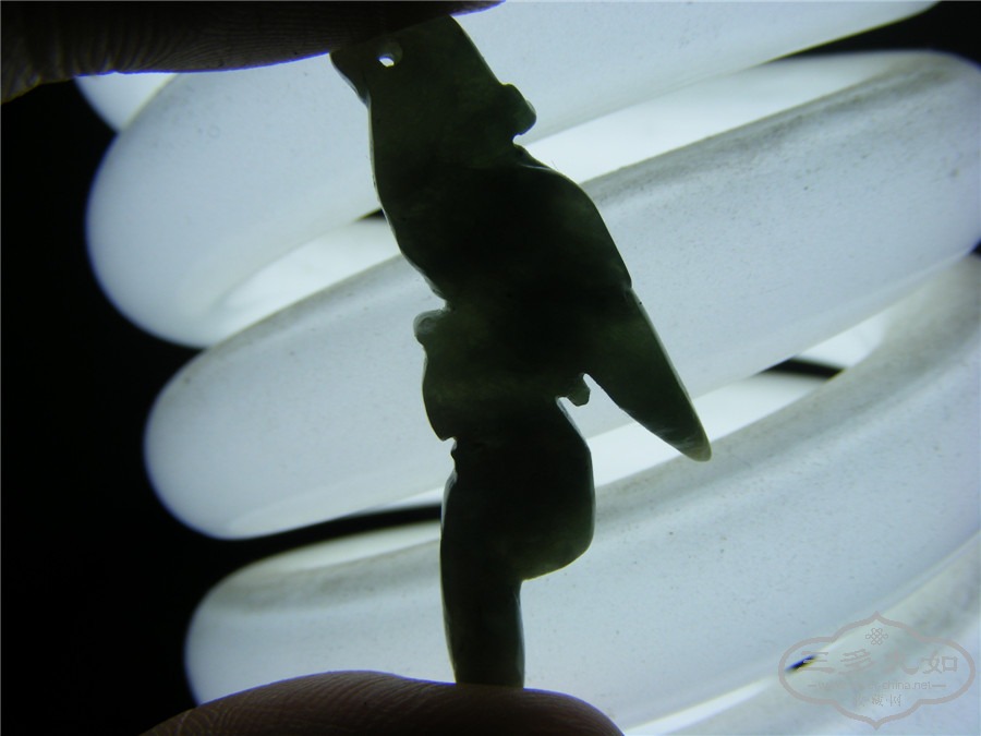 DSCF5295.jpg