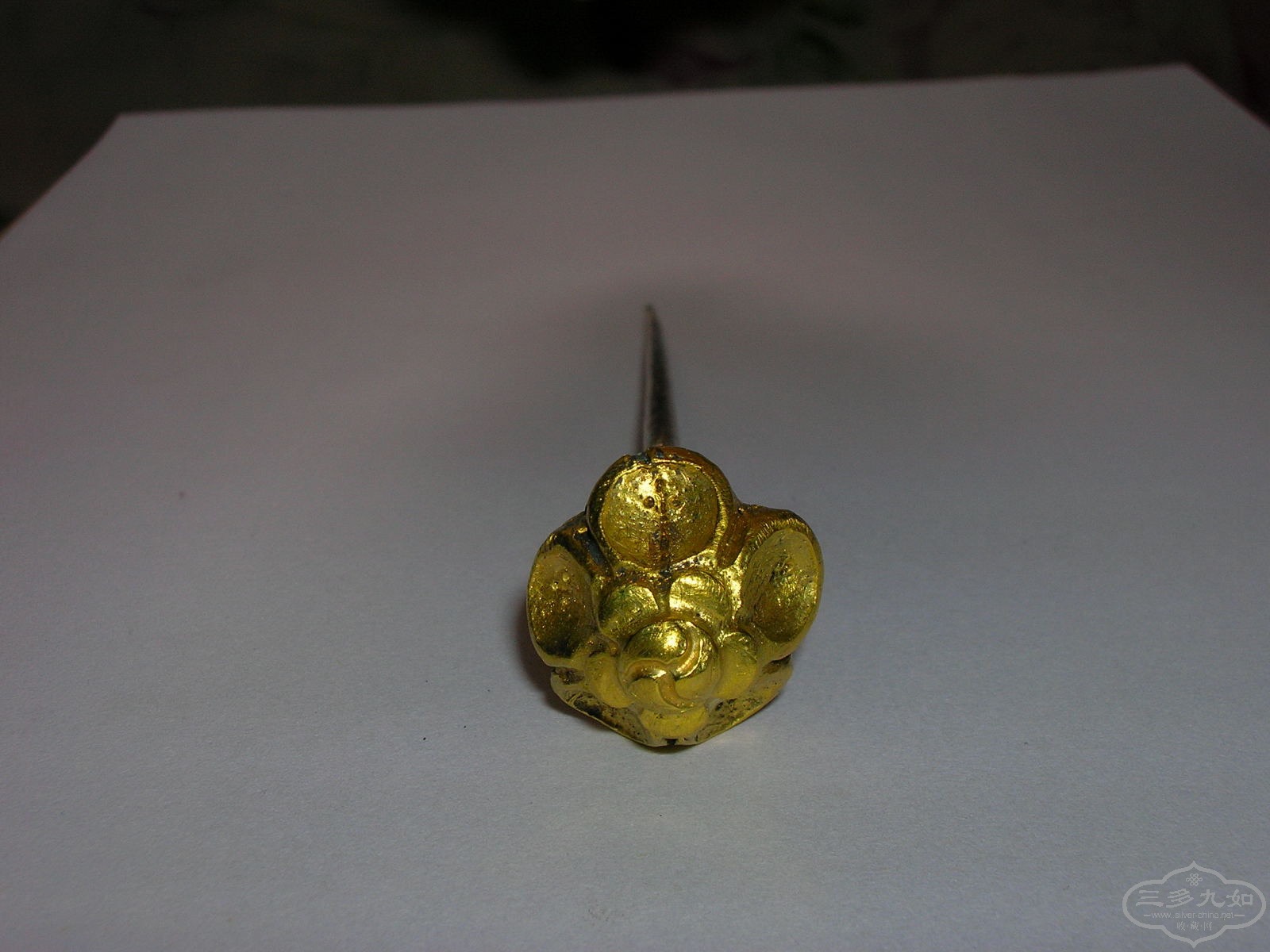 DSCN8291.JPG