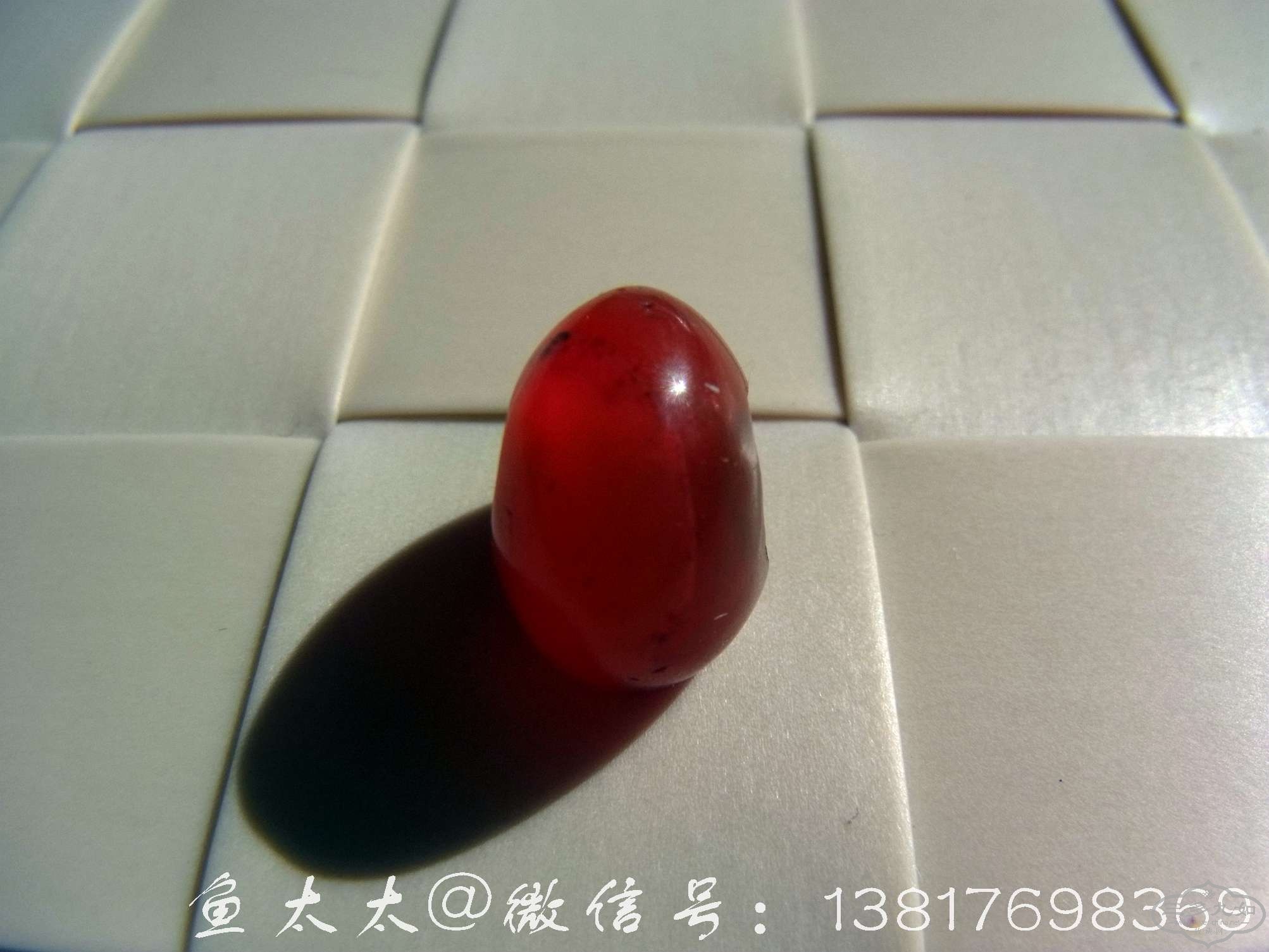RIMG0008.jpg