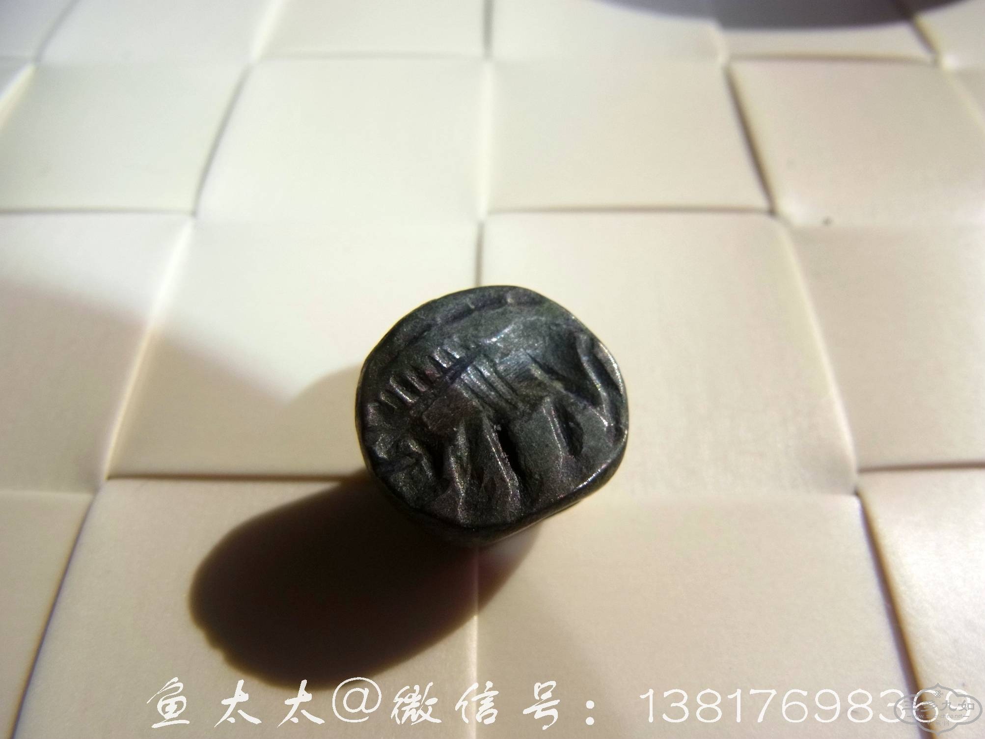 RIMG0014.jpg