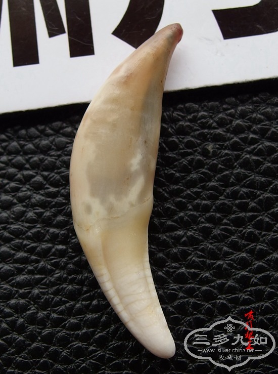 P4171107.JPG