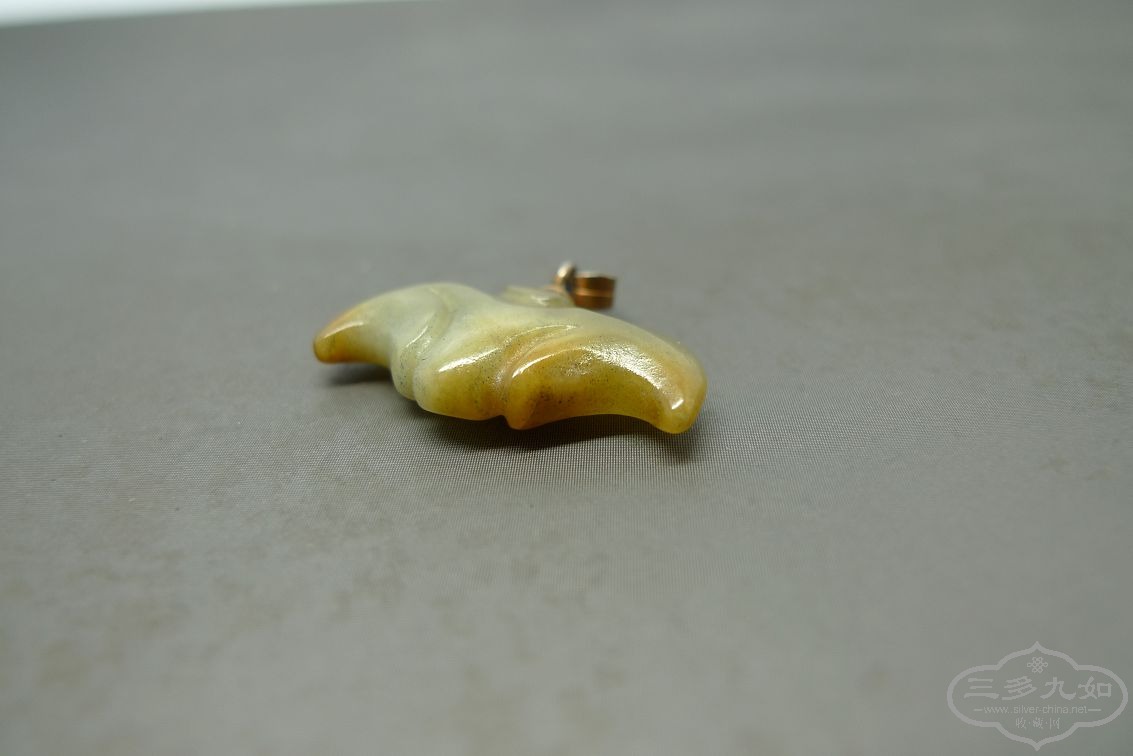 P1190259.jpg