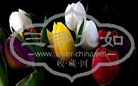 07ead8a5-ef2a-4d84-83c8-7130b8372301.jpg