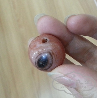 20141027_130840.jpg