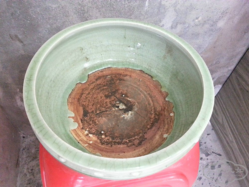 20141031_150025.jpg