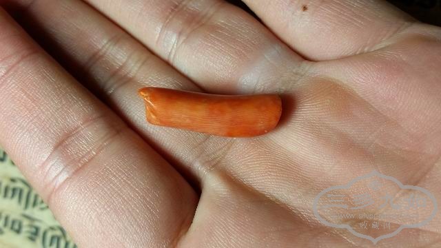 ������С 20141116_234802.jpg