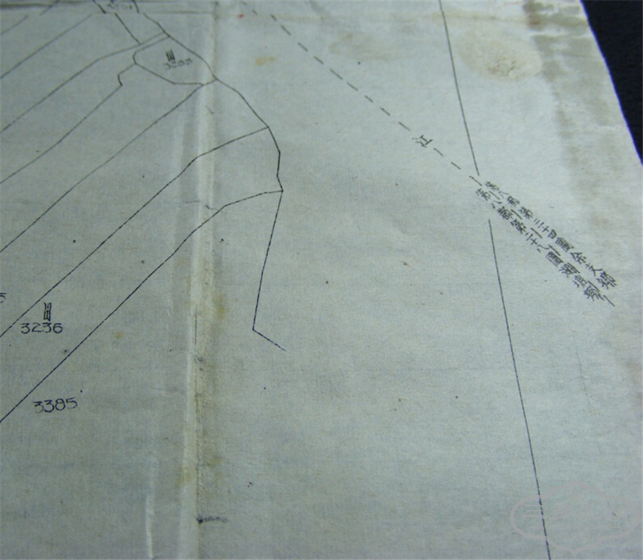 192.jpg