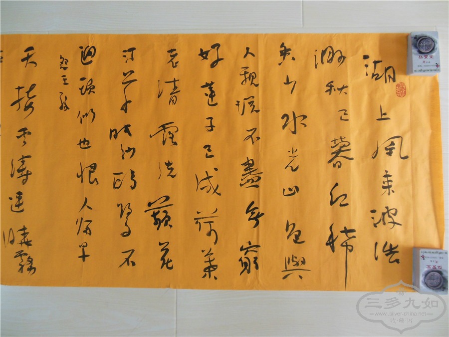 DSCN7198.jpg