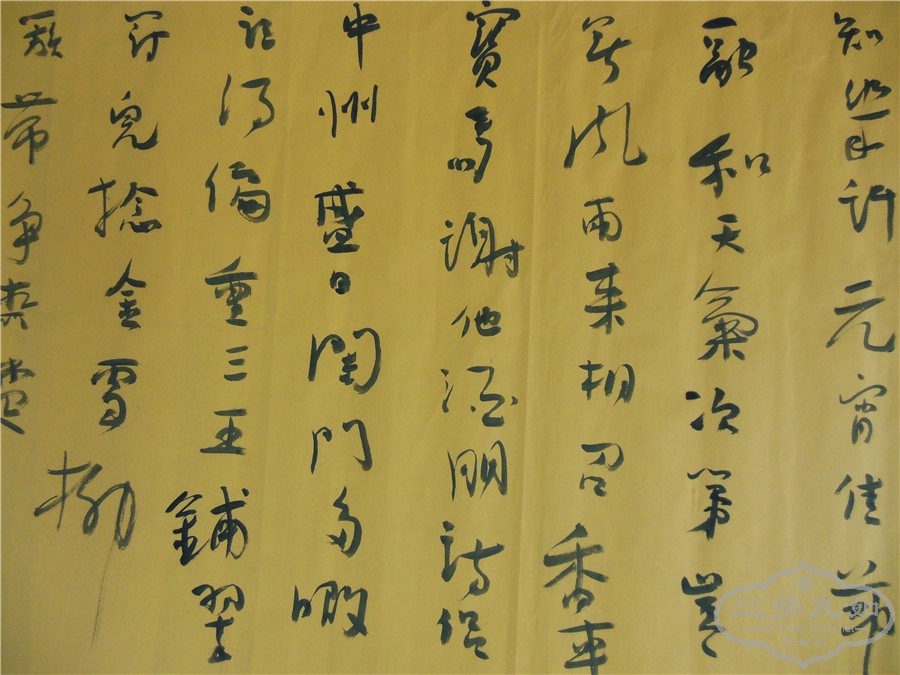 DSCN7200.jpg