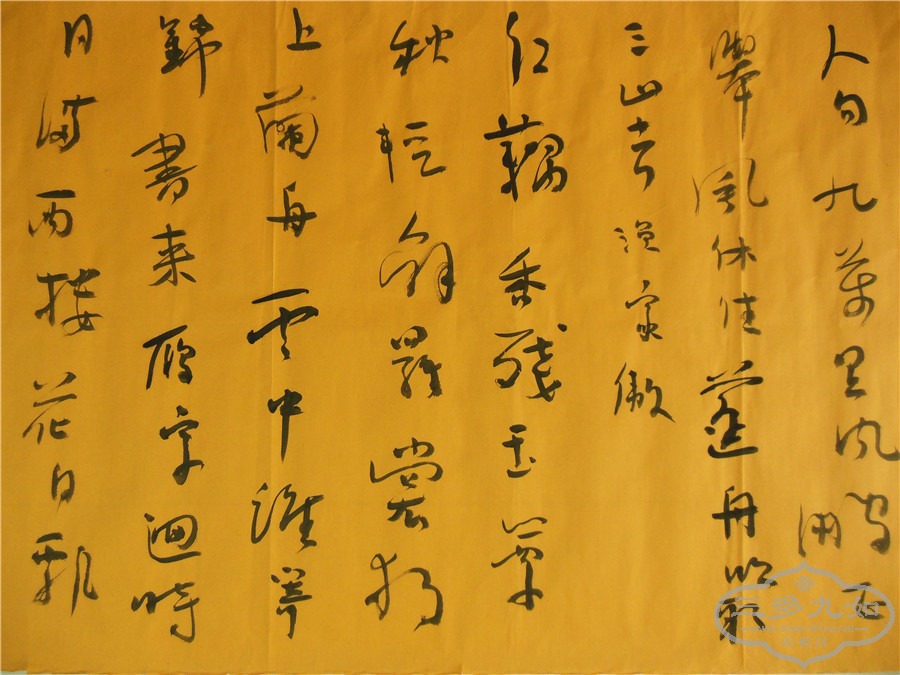 DSCN7201.jpg
