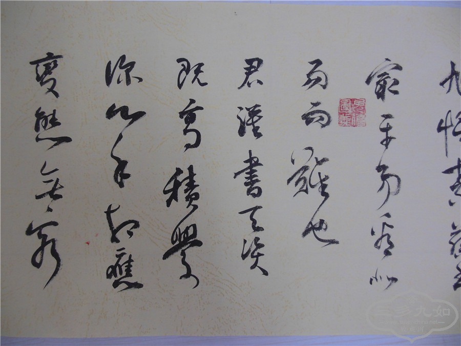 DSCN7217.jpg
