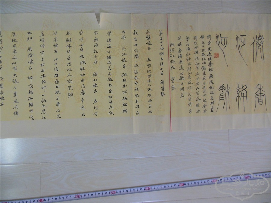 DSCN7224.jpg