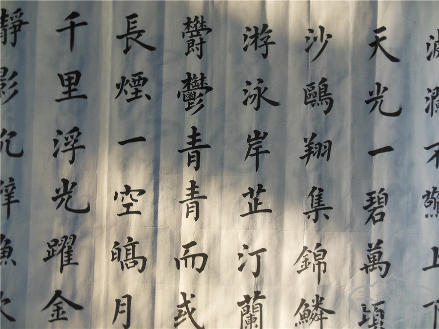 DSCN7244.jpg