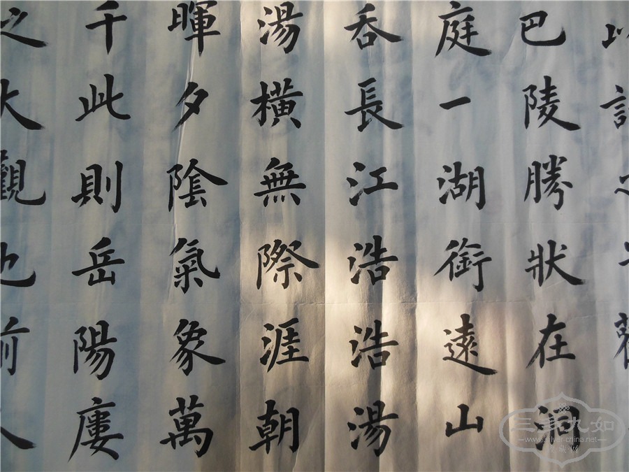 DSCN7245.jpg