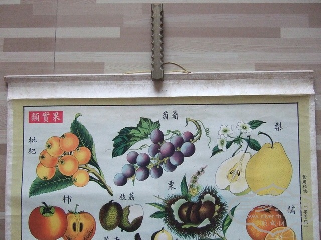 111_������С.JPG