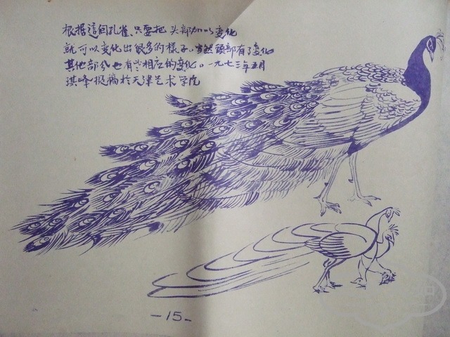 005.jpg