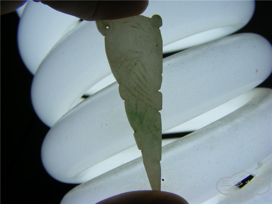 DSCF7338.jpg