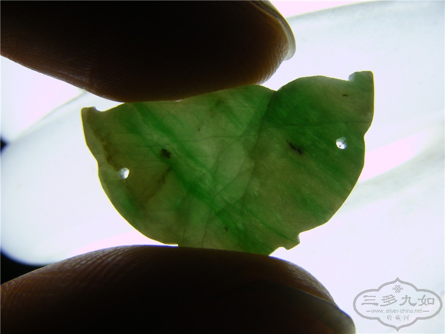 DSCF8466.jpg