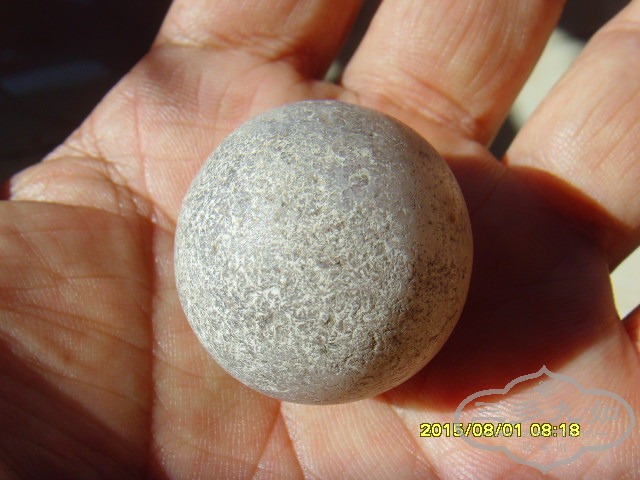 SNV32926.JPG