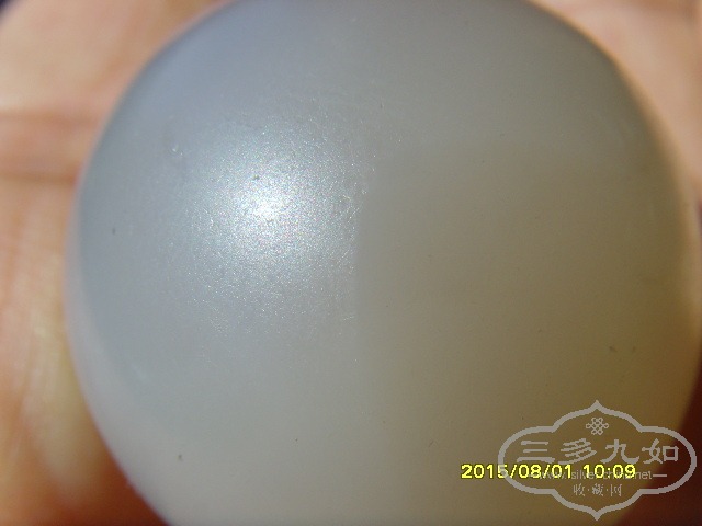SNV32929.JPG