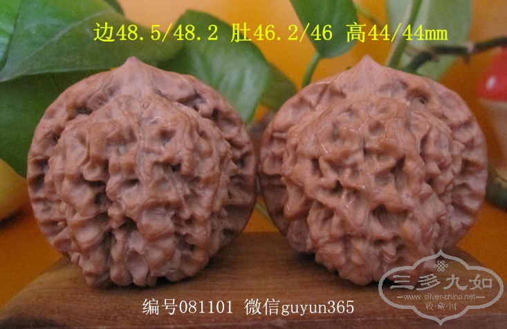 081101-2.jpg