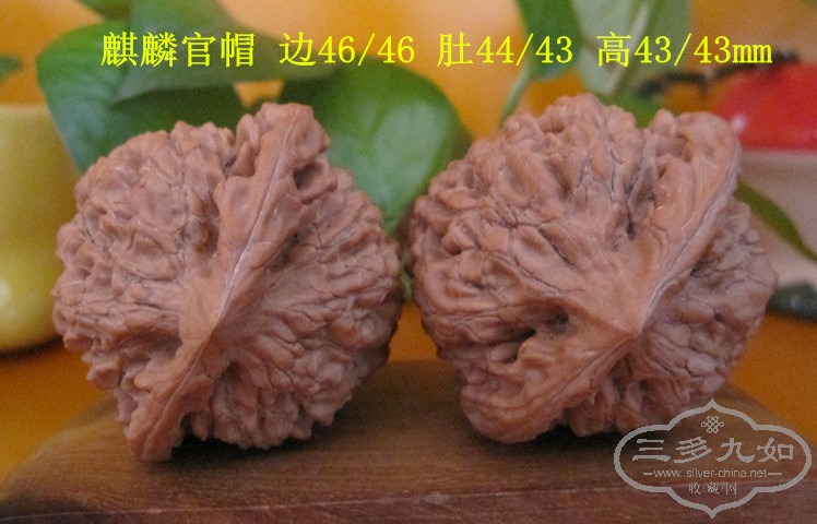 081102-5.jpg