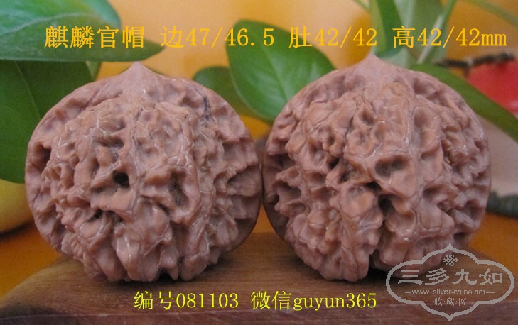 081103-1.jpg