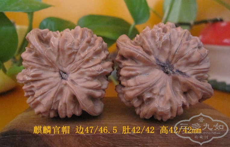 081103-6.jpg