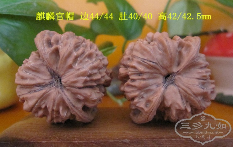 081104-6.jpg