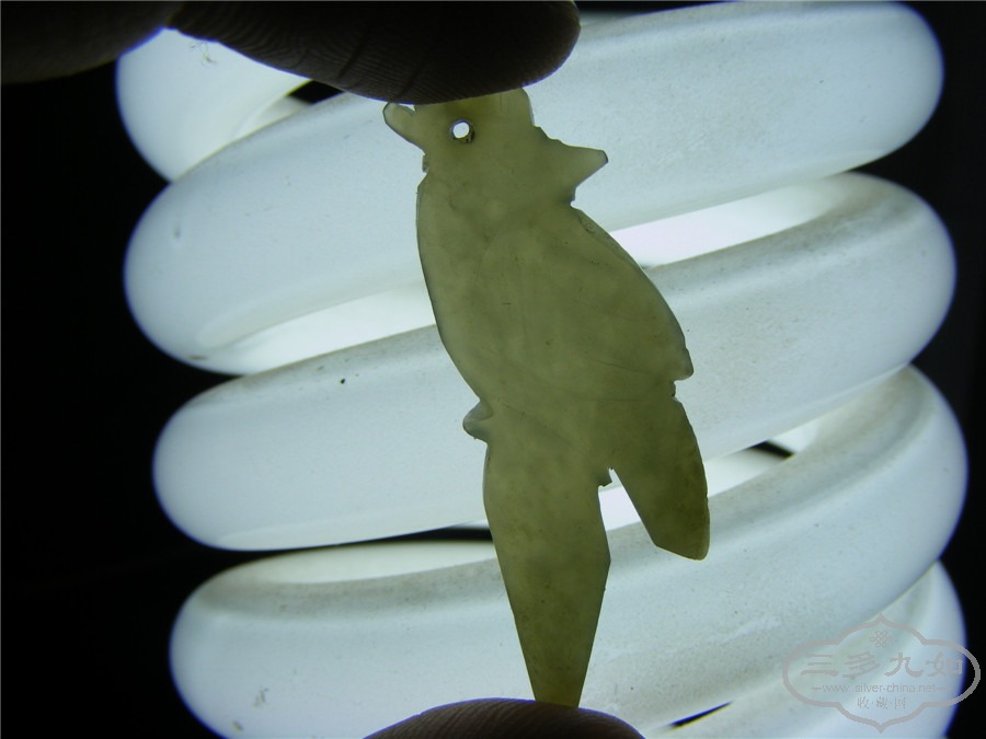 DSCF1603.jpg